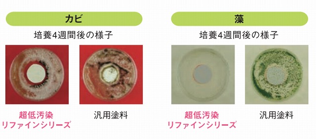 超低汚染リファイン　カビ　藻